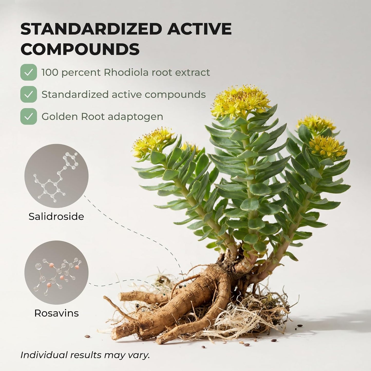 Salvora™ Rhodiola Rosea Capsules
