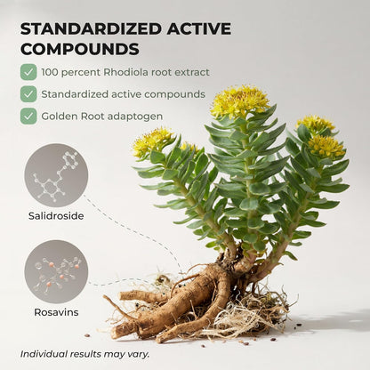 Salvora™ Rhodiola Rosea Capsules